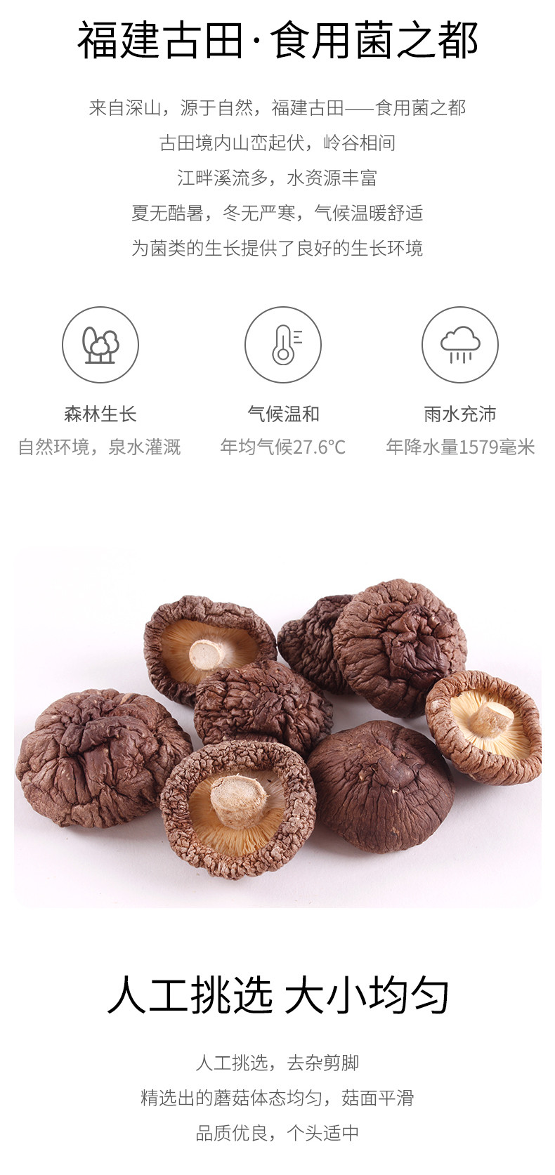 绿帝 香菇150g