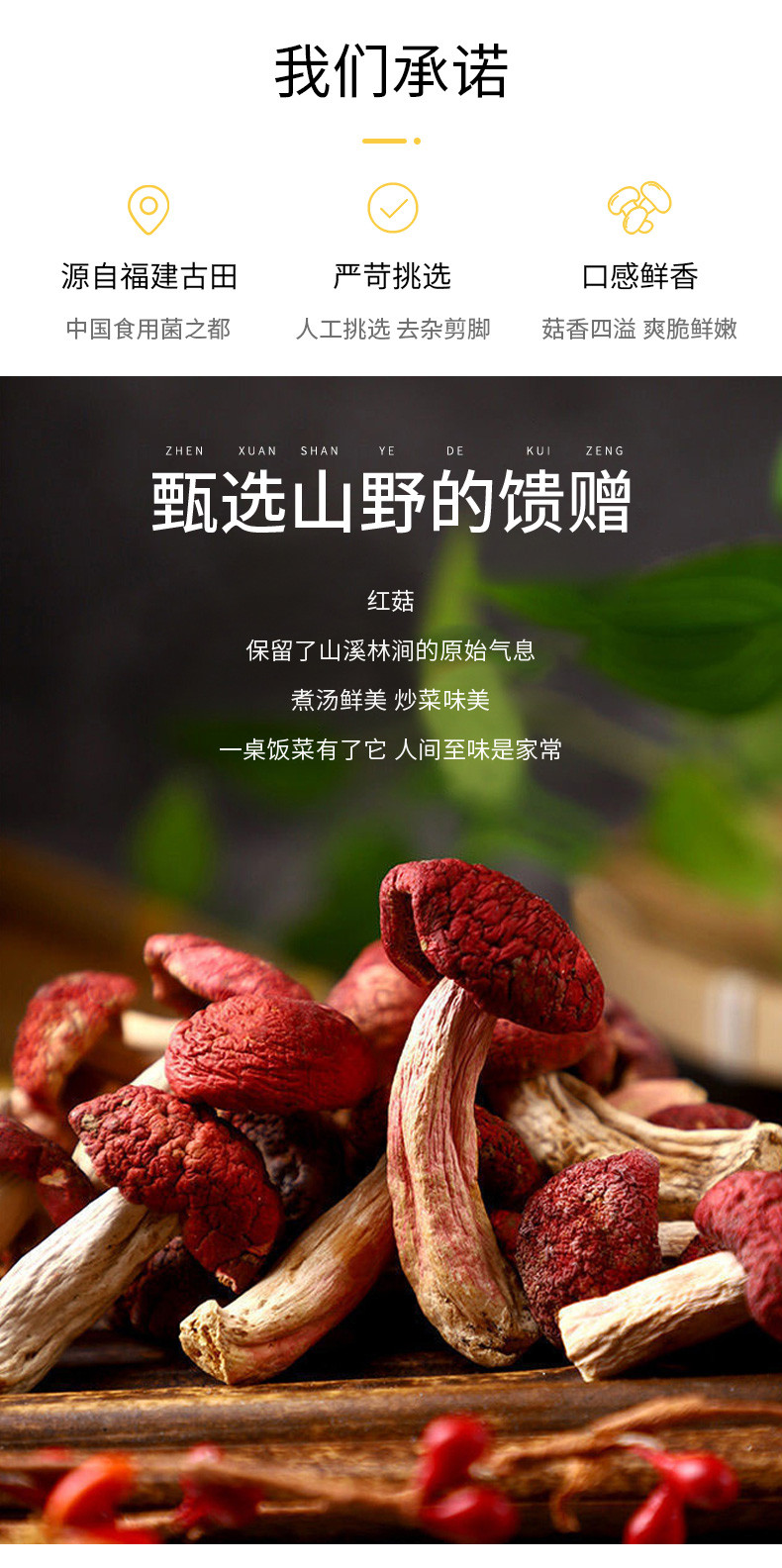 绿帝 红菇200g