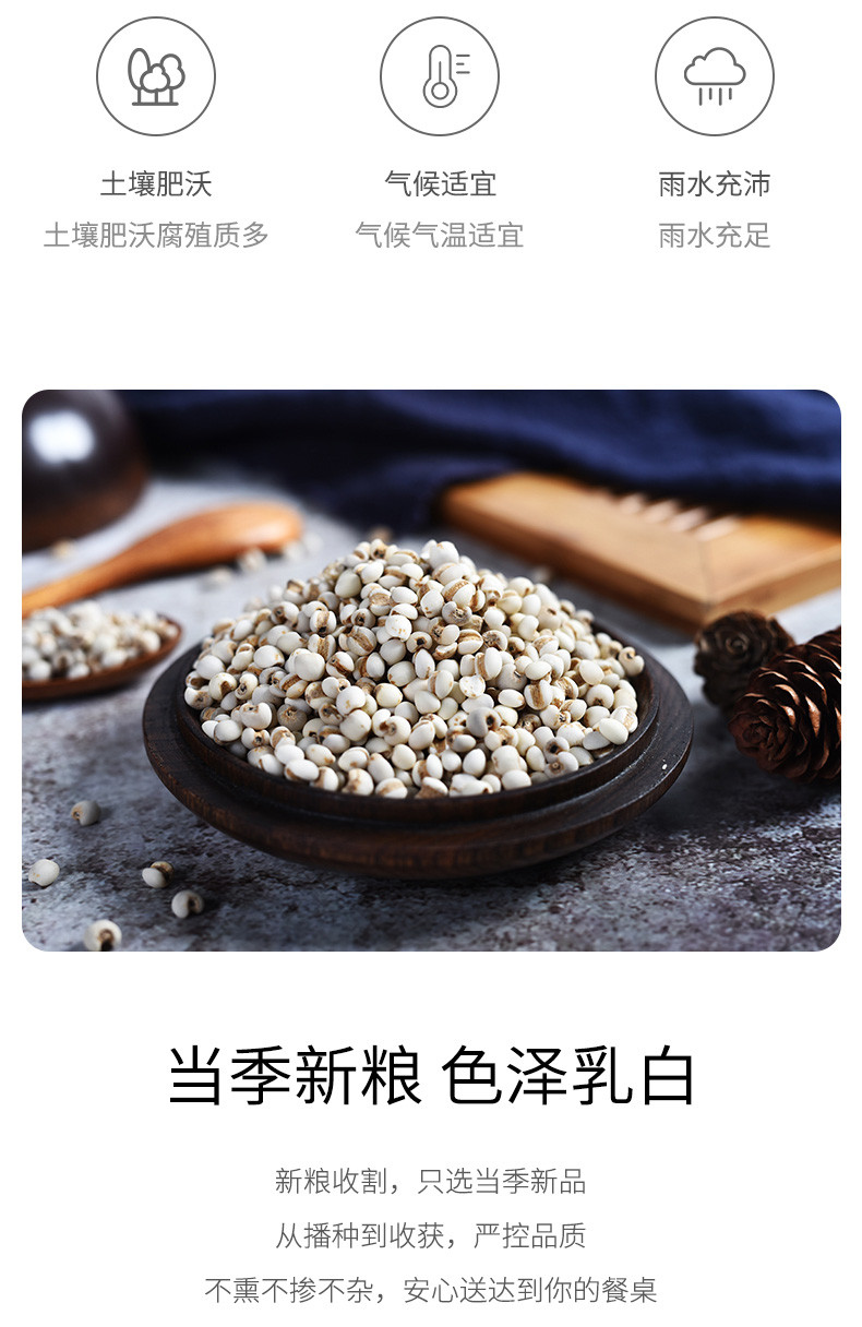 绿帝 薏仁350g