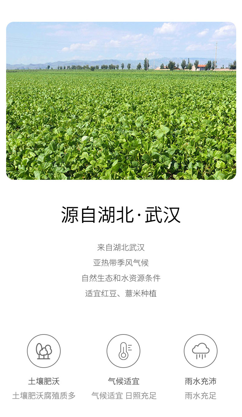 绿帝 红豆薏米粥350g