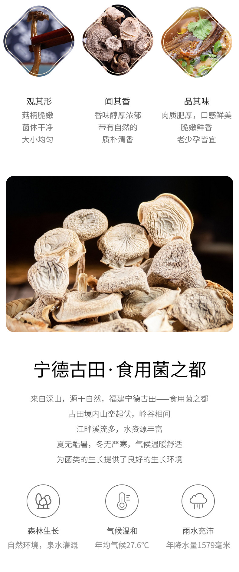 绿帝 鹿茸菇85g