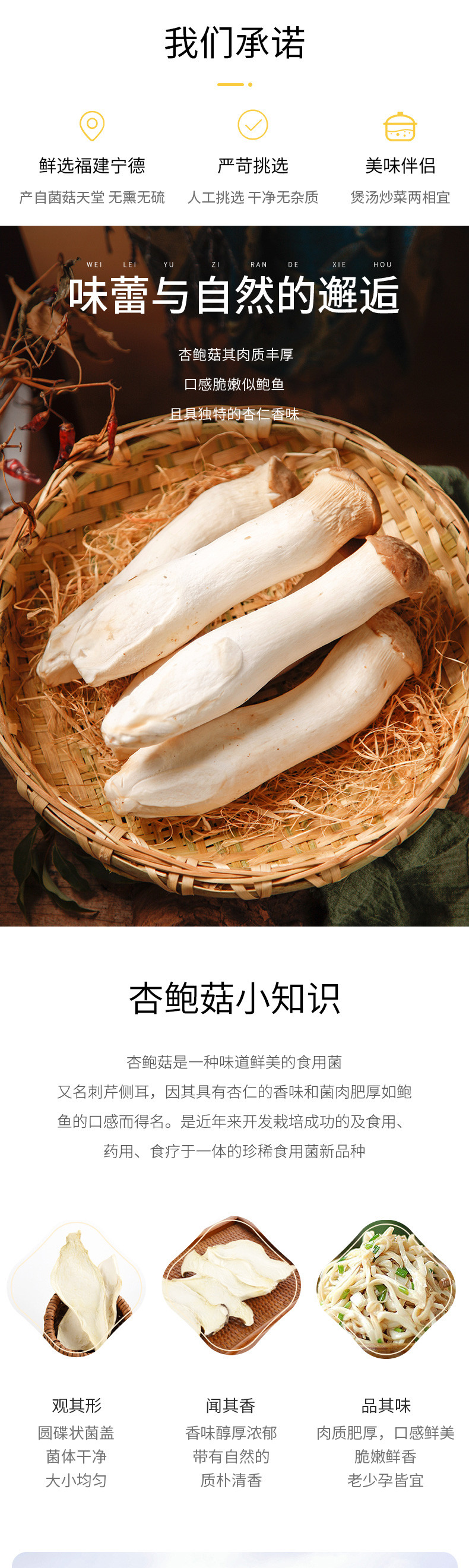 绿帝 杏鲍菇60g