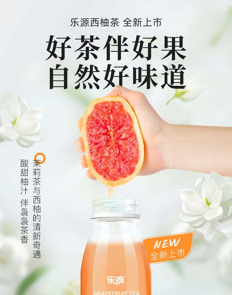 乐源 西柚茶1L*2