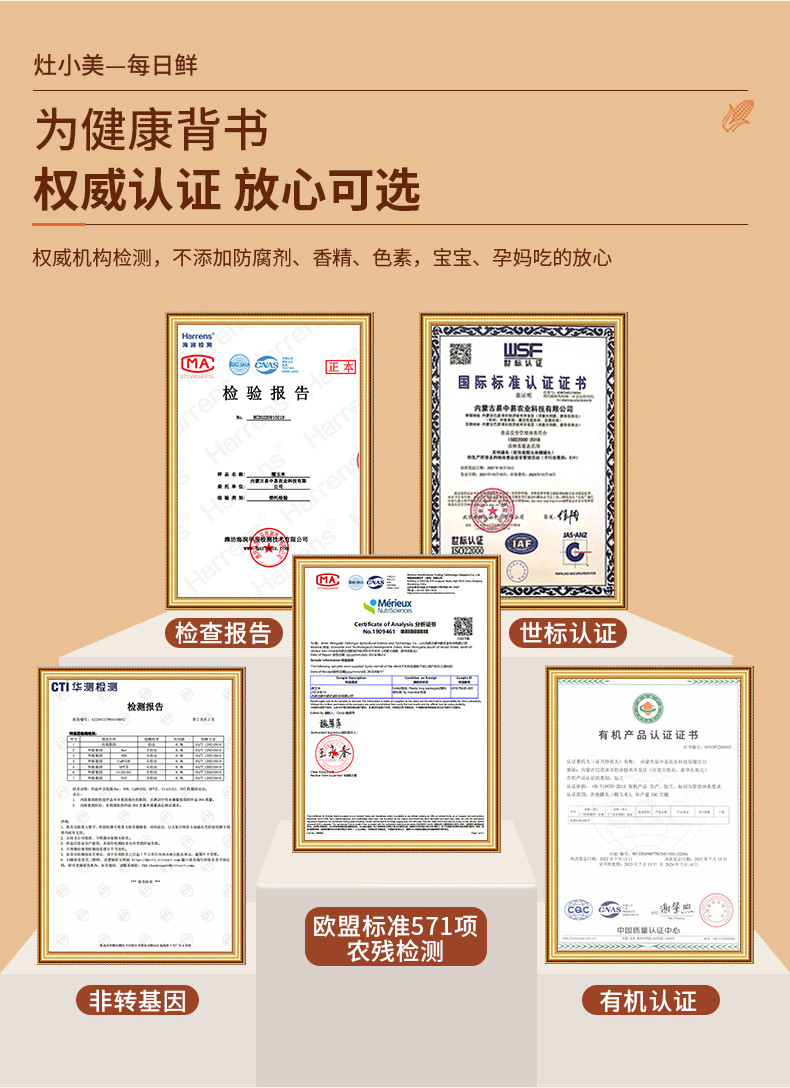 灶小美 黑糯有机玉米大棒10支礼盒装内蒙古非即食粘玉米代餐