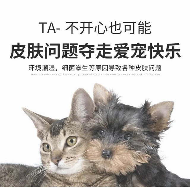 狗狗猫咪皮肤真菌螨虫喷雾消严止痒皮炎治疗猫藓清洁喷剂