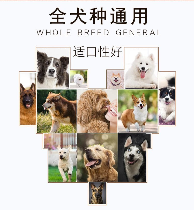 图石果记 【邮乐特卖】宠物零食中小型犬狗狗训犬奖励零食咬胶磨牙棒洁齿骨