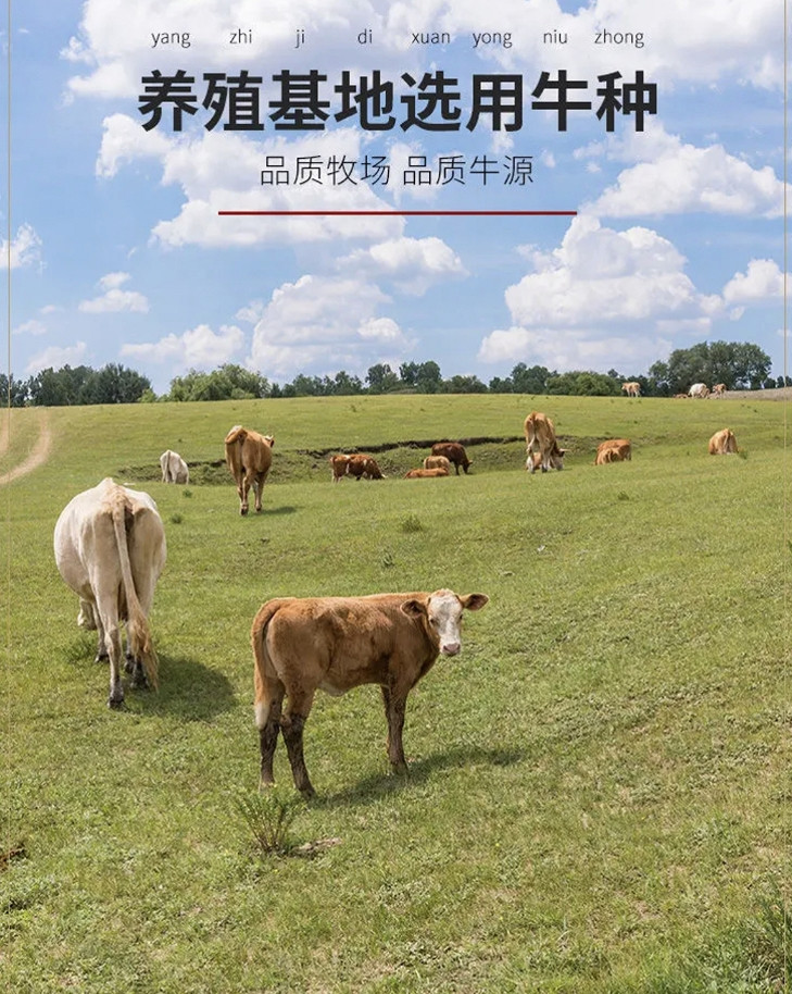 农家自产 果老仙村 延边黄牛肉牛腿肉1.5kg