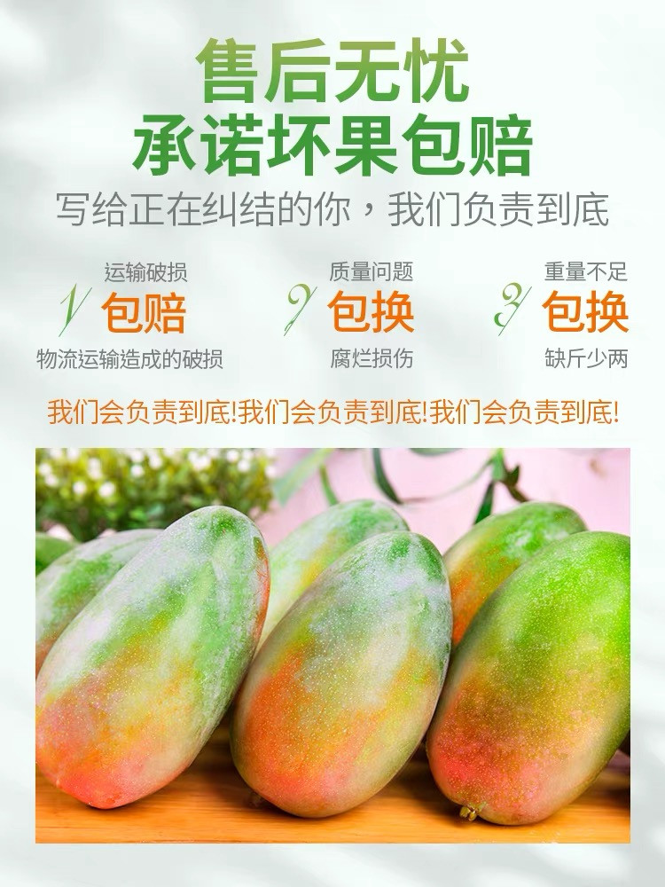 农家自产 四川攀枝花凯特青芒果，新鲜当季芒果