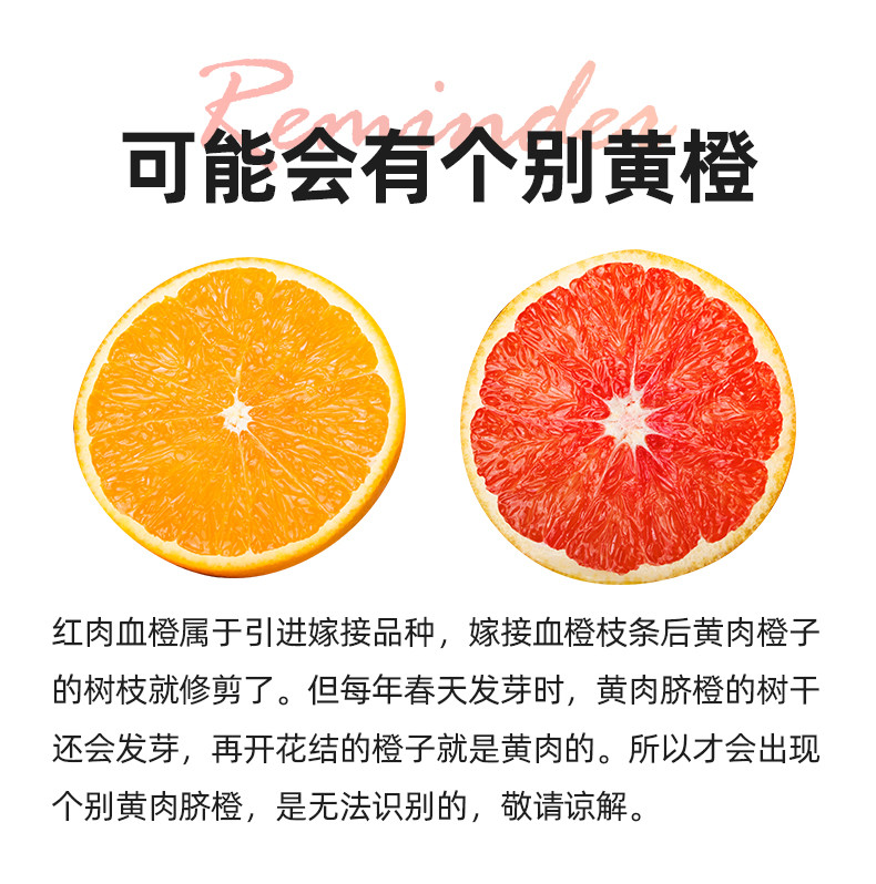  农家自产 秭归脐橙中华红血橙，9斤彩箱装，应季橙子，中华红橙送人佳品