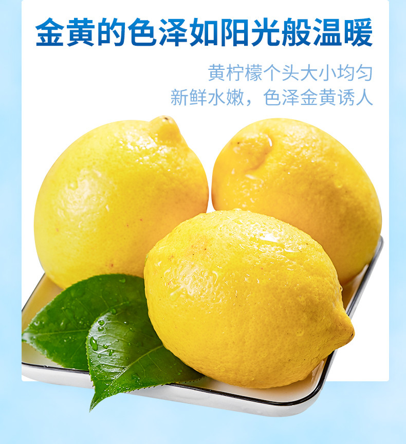  农家自产 四川安岳柠檬2斤/3斤/5斤