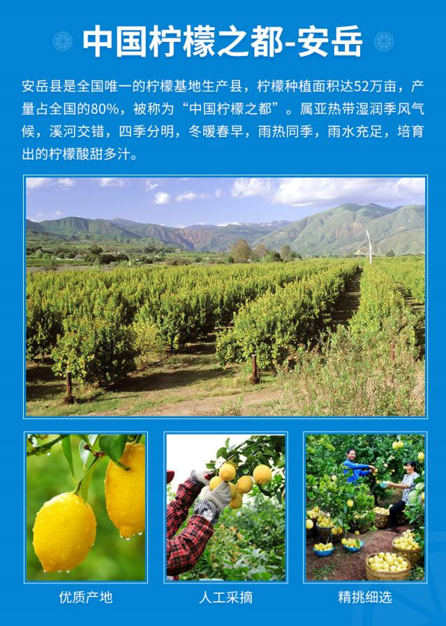  农家自产 四川安岳柠檬2斤/3斤/5斤