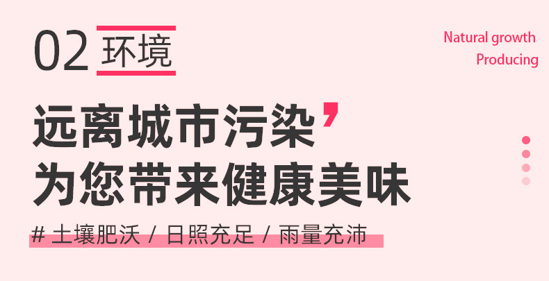 农家自产 黄肉毛蟠桃，彩虹蟠桃，美味桃子，山西或陕西随机发货