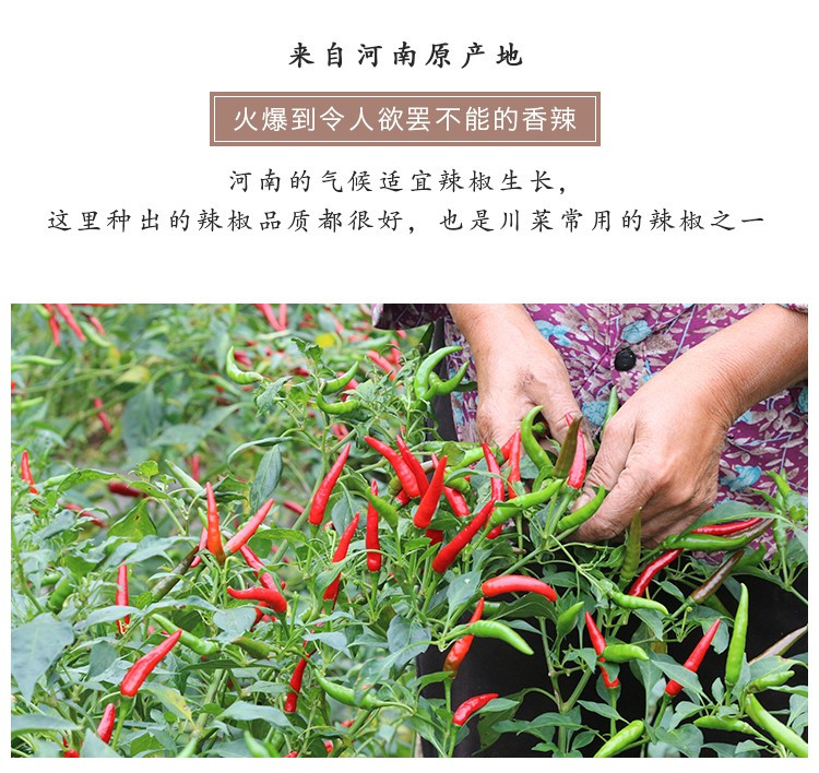 斯顿恩  内黄特产新一代辣椒200g核心产区来自红色沙区的问候