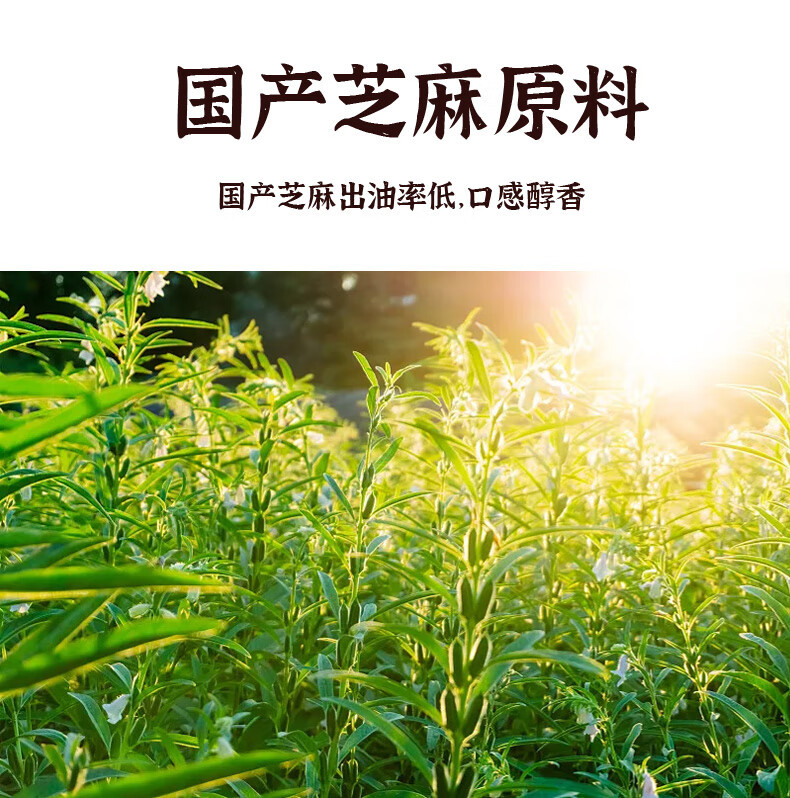 斯顿恩 河南特产 小磨香油 200ML独立包装 买一赠一 共发两瓶