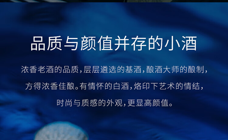 舍得 艺术舍得小酒52度100ml浓香型白酒