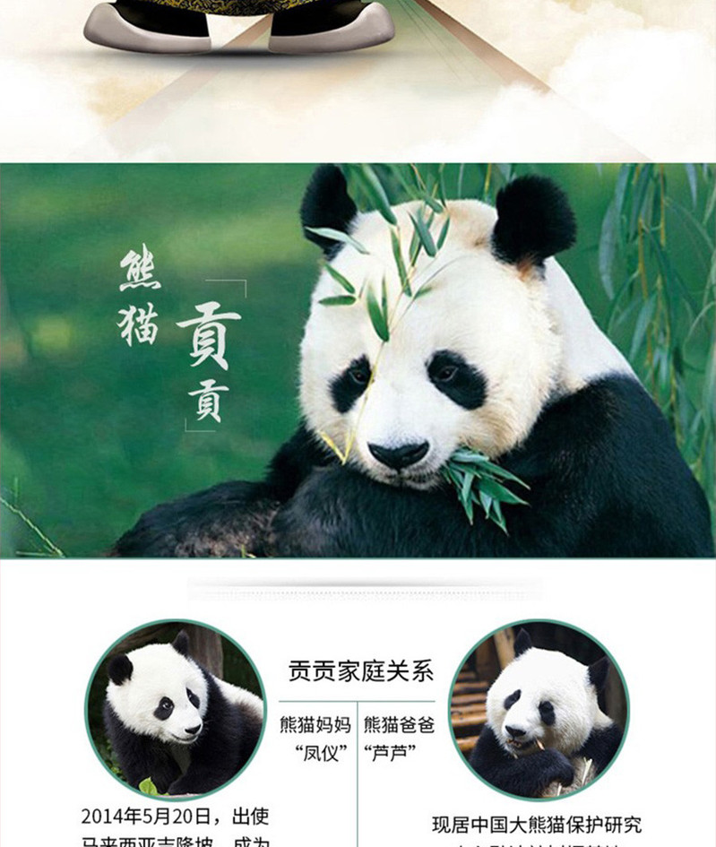 泸州 泸州贡·保护大熊猫52°浓香