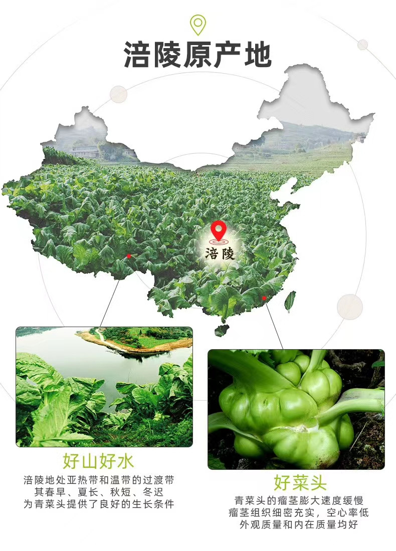 中国邮政  涪陵榨菜50g*8袋 爽脆美味