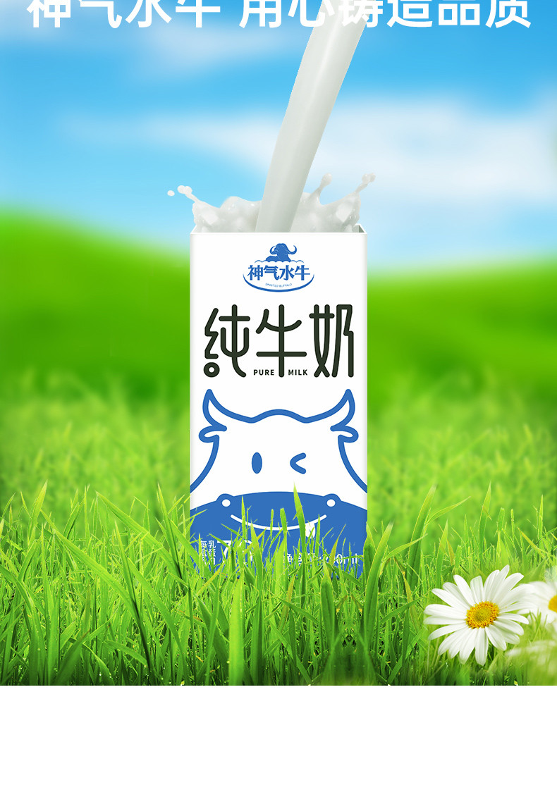 神气水牛  上市公司  水牛奶 奶香醇厚 自然甘甜 【日期新鲜】