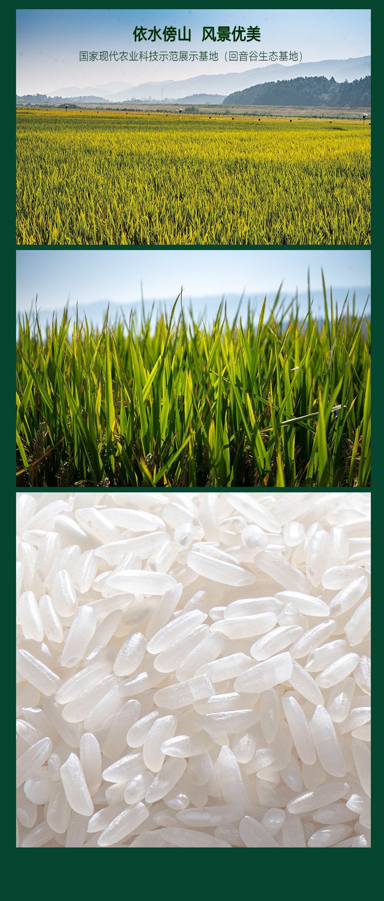 回音谷 再生稻稻米  2.5kg 真空包装长粒纤长大米主食高端 适合蛋炒饭煲仔饭