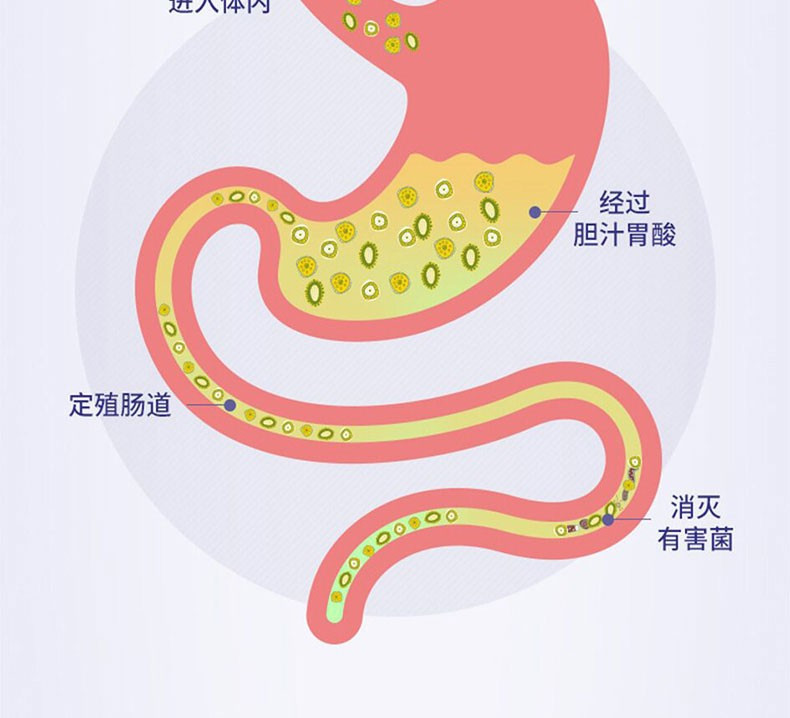 斯可莱 益生菌羊奶蛋白质粉 320g