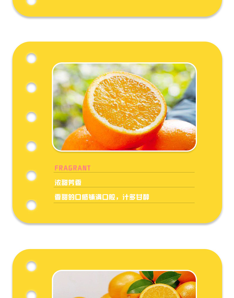 鑫勇泰 【秭归脐橙】 秭归县伦晚甜橙5斤大果