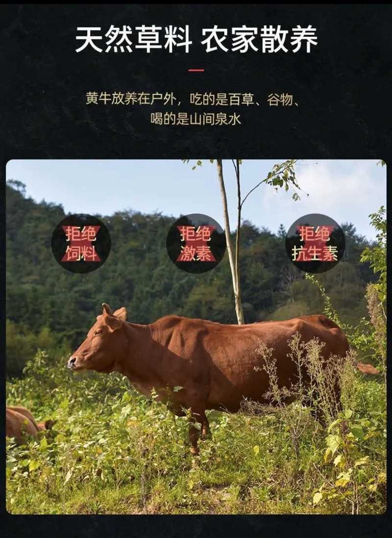 果老仙村 延边黄牛肉牛腩肉