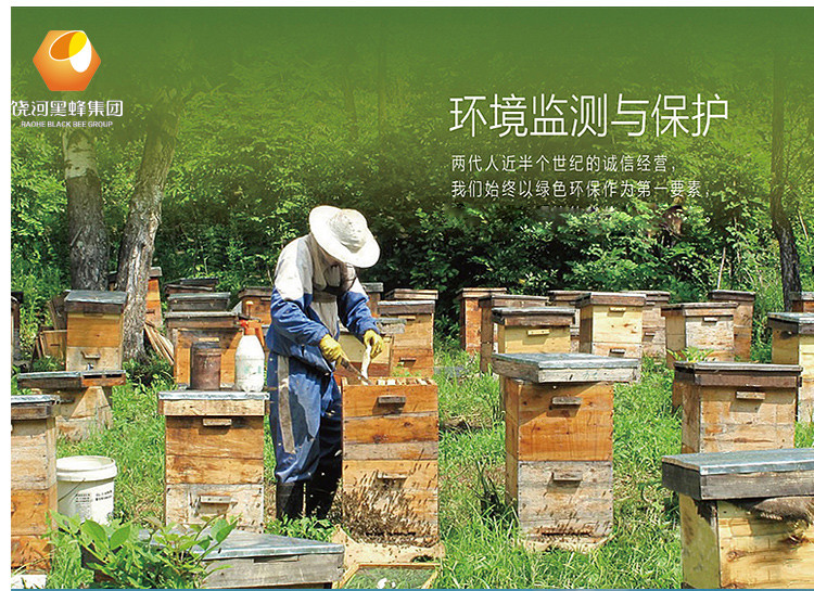 【黑龙江饶河】东北黑蜂椴树蜜东北特产纯天然野生蜂蜜500克包邮