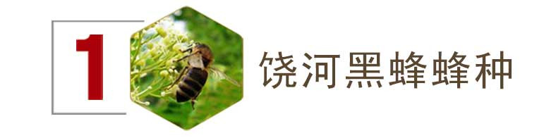 【黑龙江饶河】东北黑蜂自然成熟椴树蜜300+纯天然野生蜂蜜500克包邮