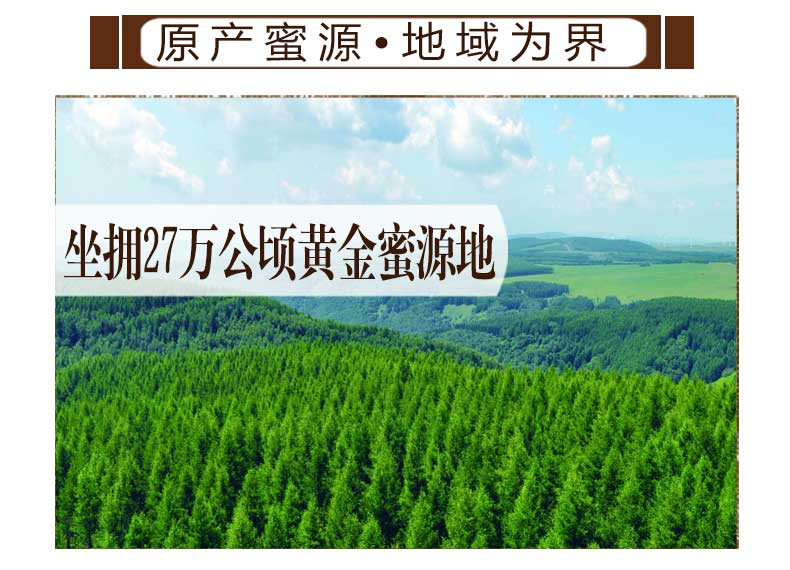 【黑龙江饶河】东北黑蜂自然成熟椴树蜜100+纯天然野生蜂蜜500克包邮