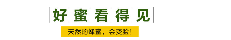 【黑龙江饶河】乌苏里船歌东北黑蜂自然成熟椴树蜜100+纯天然野生蜂蜜500克包邮