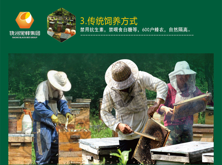 【黑龙江饶河】东北黑蜂蜂蜜益mu草蜜东北特产纯天然野生500克包邮