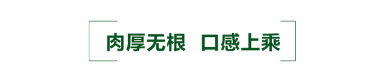 饶峰 包邮 东北特产黑木耳肉厚无根食用菌干货500克大袋实惠