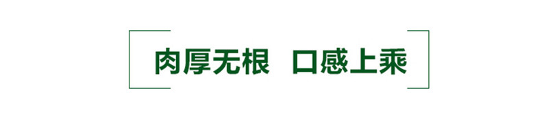 饶峰 包邮 东北特产秋木耳秋耳碗耳鼠耳200克袋装朵小清脆精选免摘