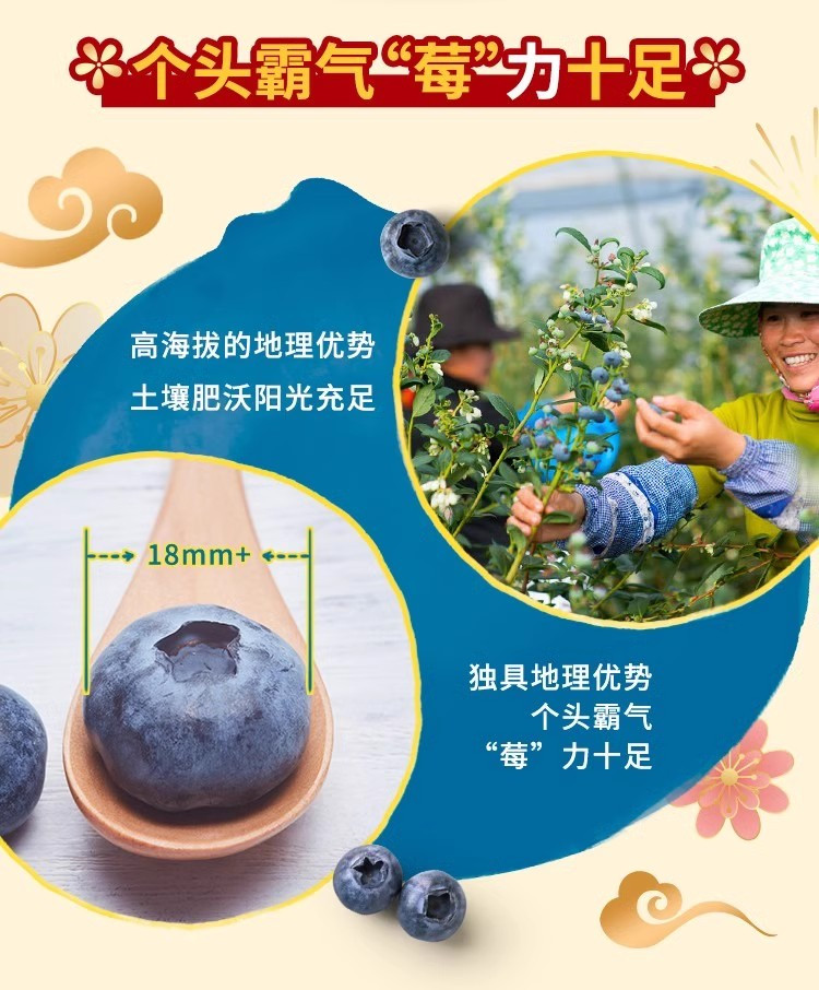 农家自产 【限玉环】云南蓝莓礼盒装