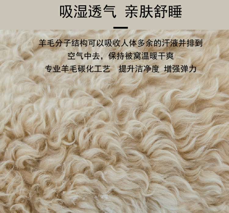 水星家纺 威尔抗菌澳洲羊毛四季被 白色 200X230cm