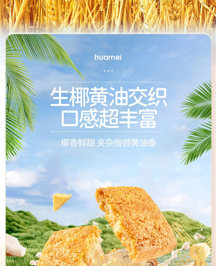 华美 丹麦风味 红罐曲奇生椰黄油  580g