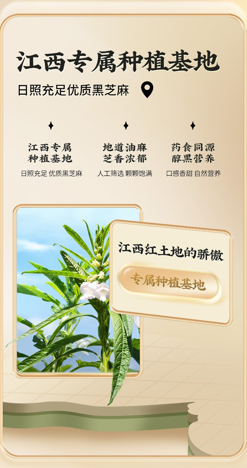 黄老五 蜂蜜黑芝麻条（原味）2盒*168g