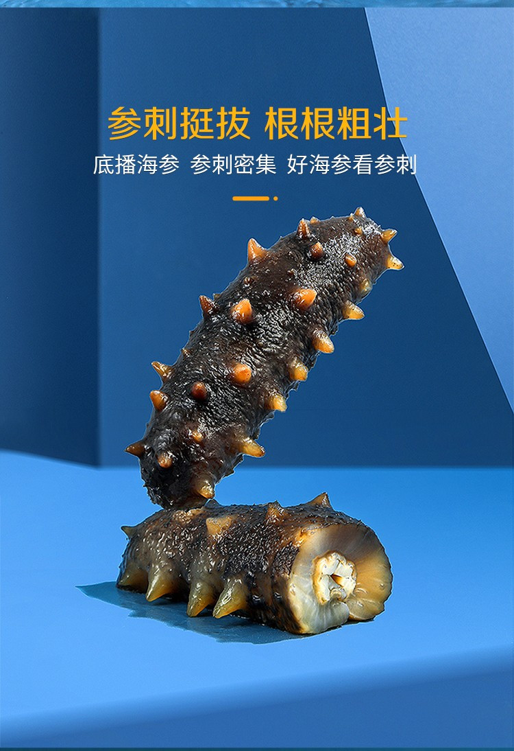 星龙港 无冰即食海参-海洋之心300g（10-15头）