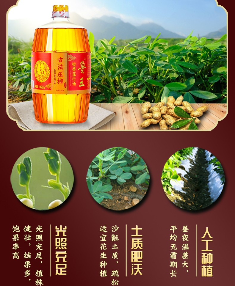 鲁王 古法压榨特香花生油  1瓶*960ml