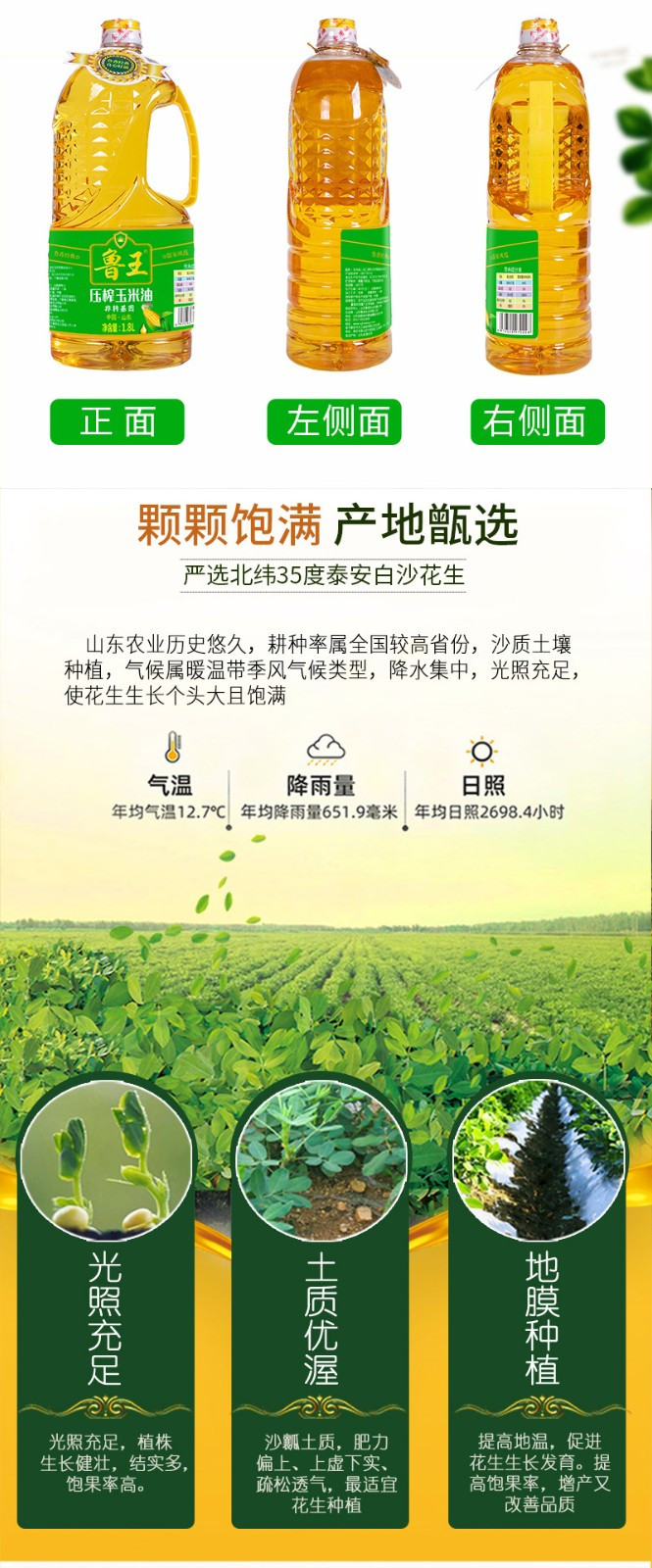 鲁王 浓香花生油1.8L+压榨玉米油 绿色健康 1.8L