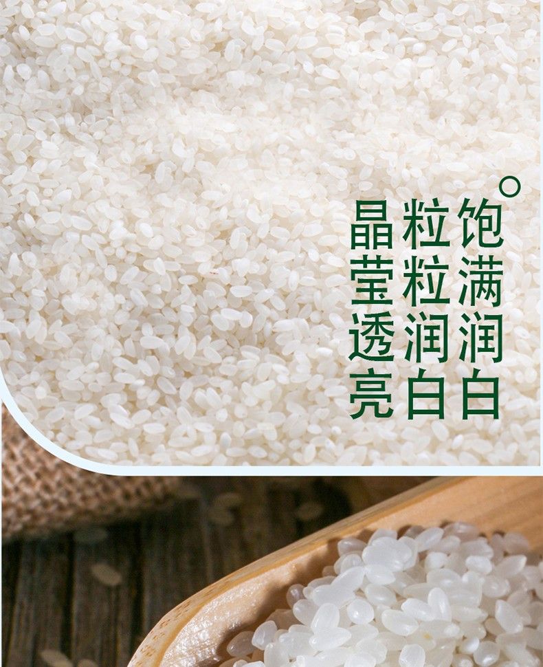 典选 东北寒地稻香米5kg