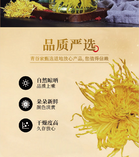 青谷家 金丝黄菊