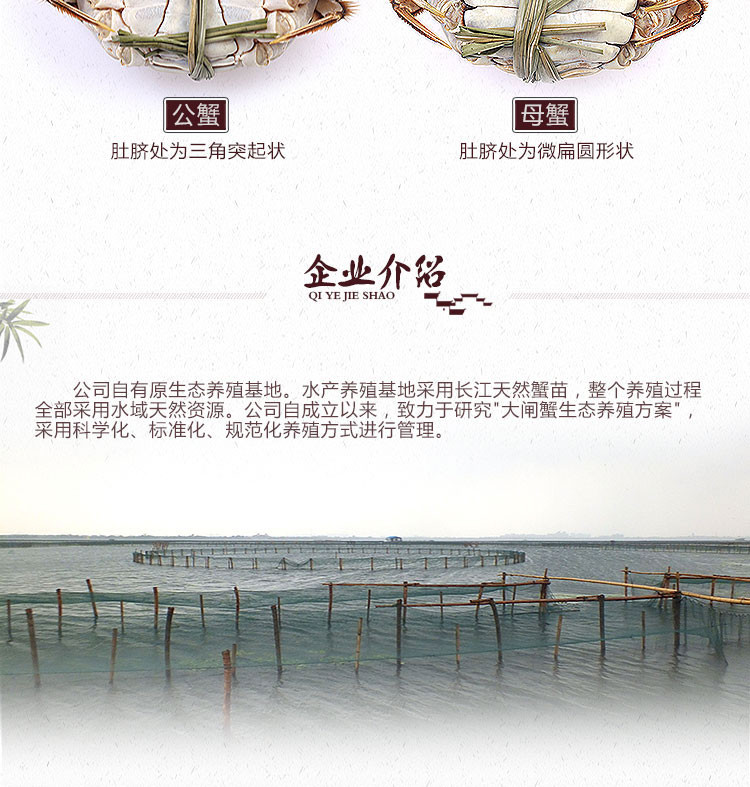 湖锦鲜 大闸蟹1888型【先发蟹卡 预计九月中下旬开湖可提现货 包邮