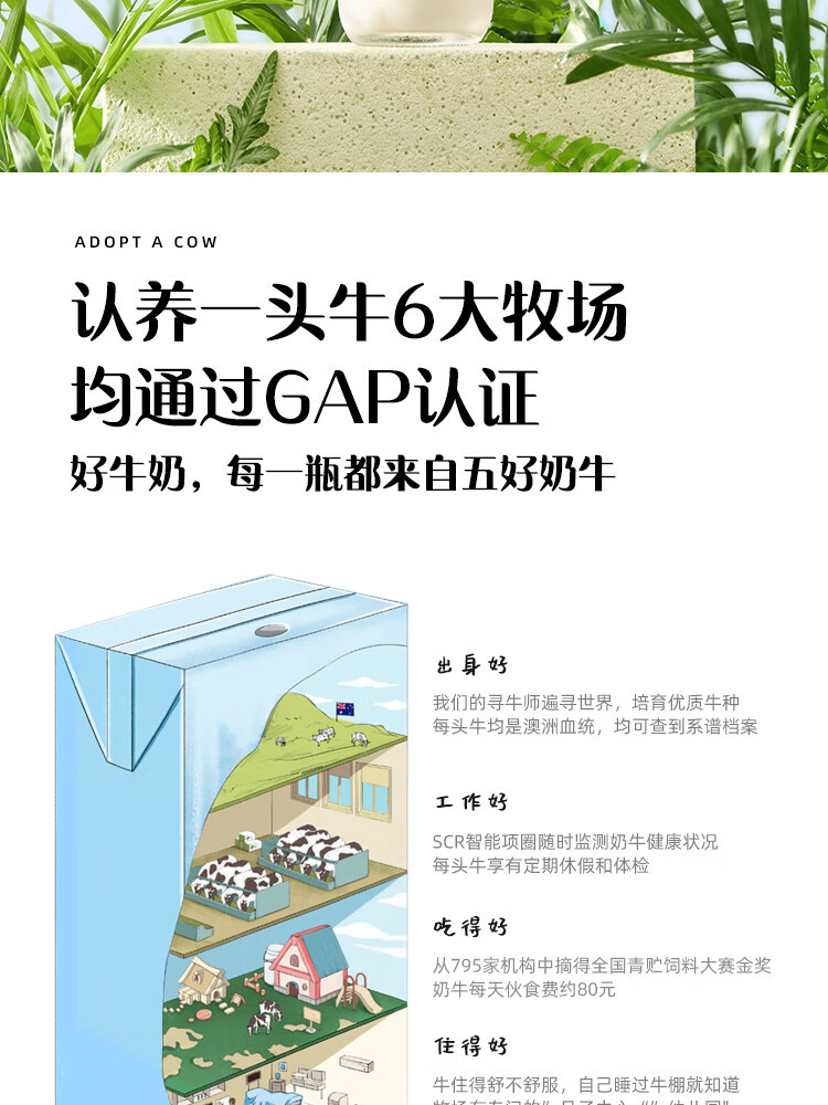 认养一头牛 3.6g蛋白纯牛奶250ml利乐砖12一提装