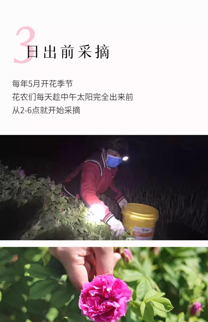 喜善花房 玫瑰花冠茶罐装15g/瓶*3