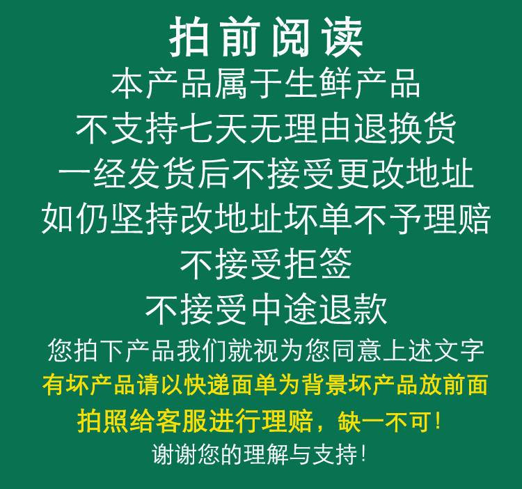 俊杰  【领劵立减10元】薄皮包子香辣粉丝包薄皮早餐半成品速冻小笼包速食懒人包子