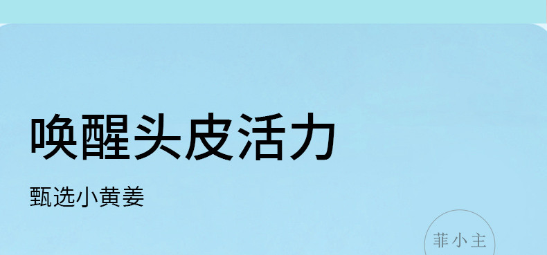 菲小主 氨基酸姜汁去屑洗发水套装500ml*2瓶