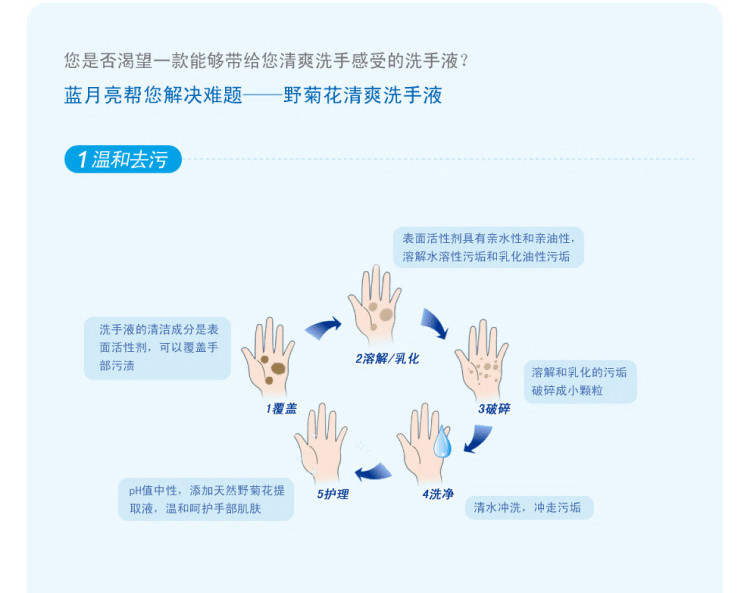 蓝月亮 蓝月亮洗手液组合：芦荟洗手液500g×2+野菊花洗手液500g×2