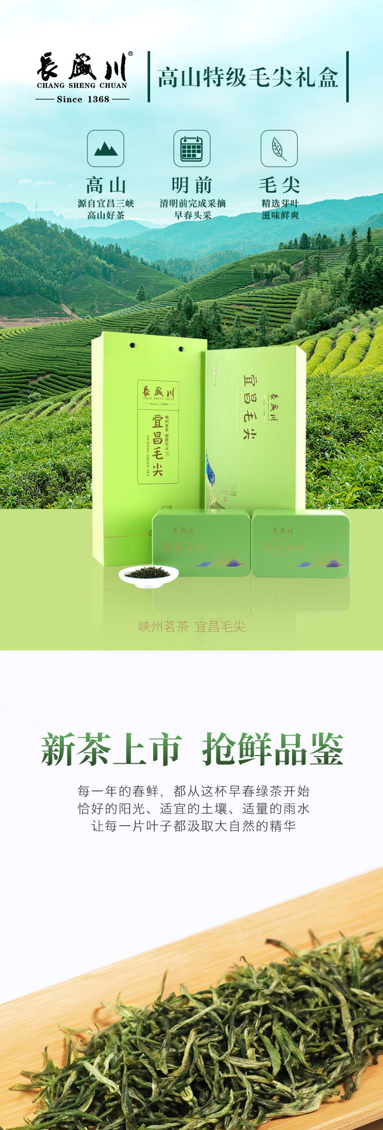 长盛川 宜昌寻茶礼盒毛尖绿茶