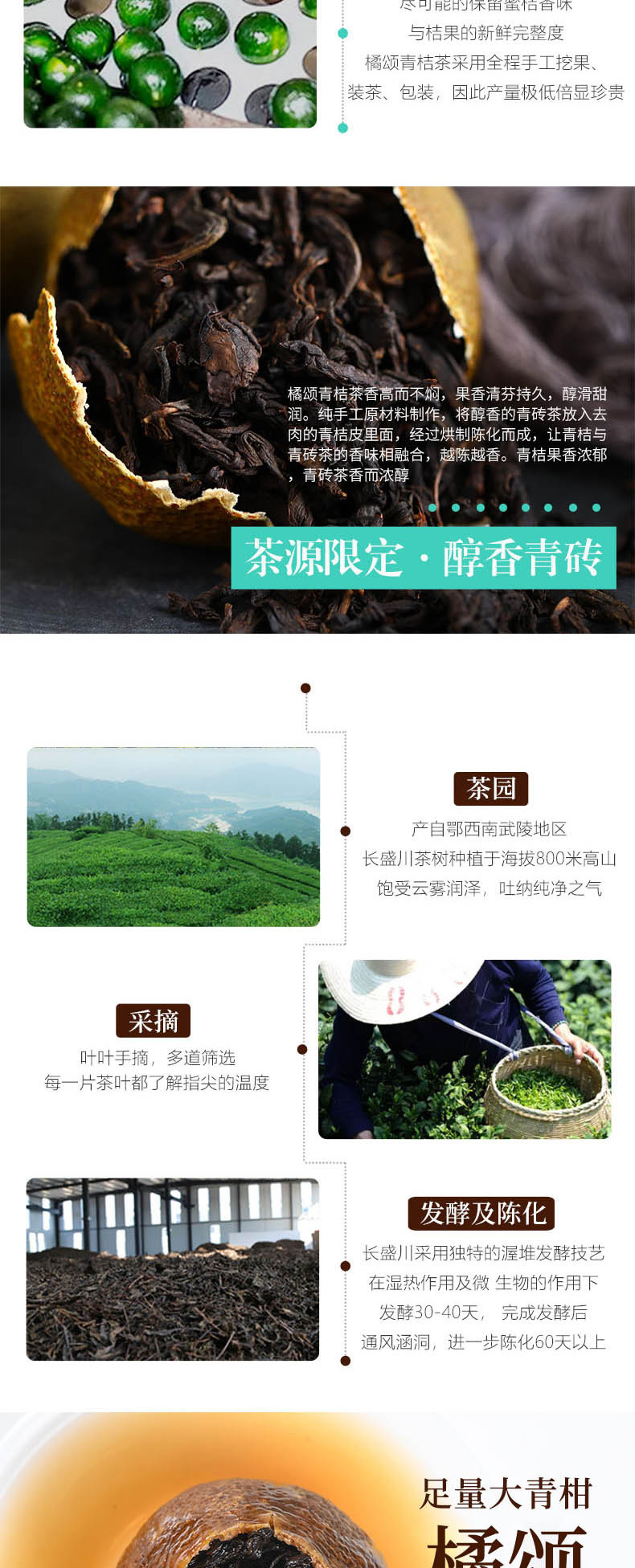 长盛川 橘颂青桔茶陈皮茶养胃茶